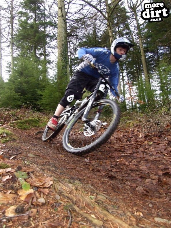 Llantrisant Wood Downhill Trails