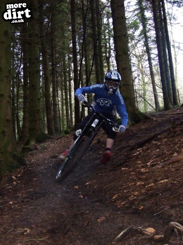 Llantrisant Wood Downhill Trails