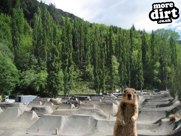 Aww dang, this photo got squirrelised too, crazy p