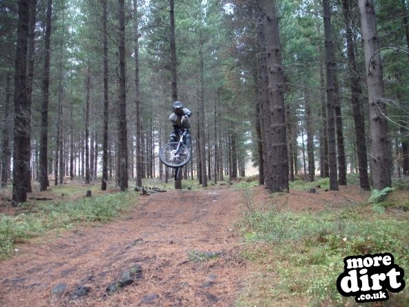 wharncliffe woods mtb