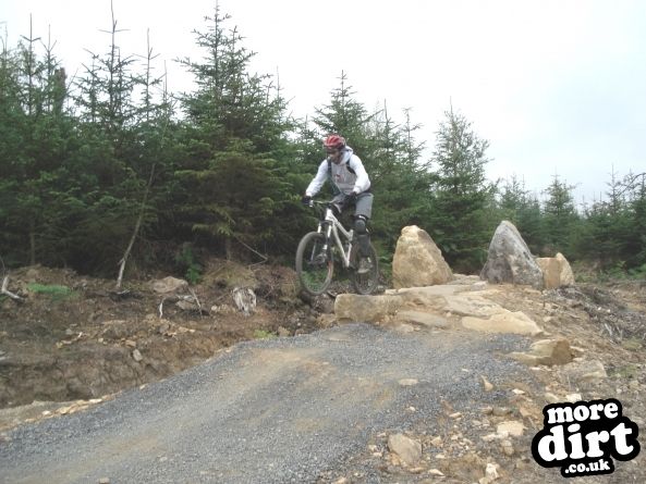 Hamsterley Forest Mountain Bike Trails