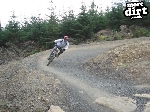 Hamsterley Forest Mountain Bike Trails