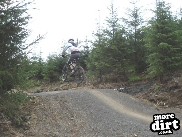 Hamsterley Forest Mountain Bike Trails