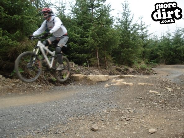 Hamsterley Forest Mountain Bike Trails