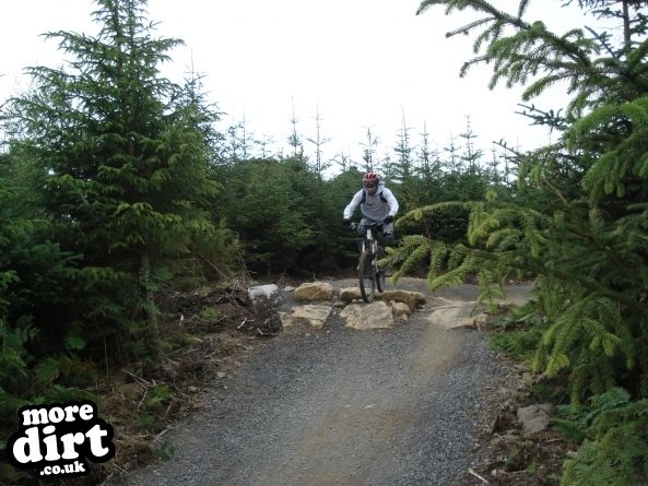 Hamsterley Forest Mountain Bike Trails