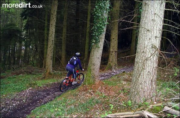 Penhydd Trail -  Afan Forest