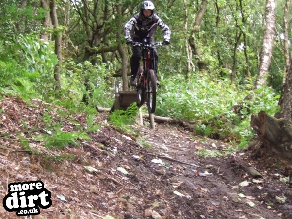 Elland Park Wood Trails