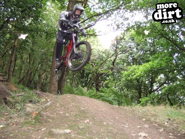 Elland Park Wood Trails