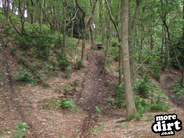 Elland Park Wood Trails