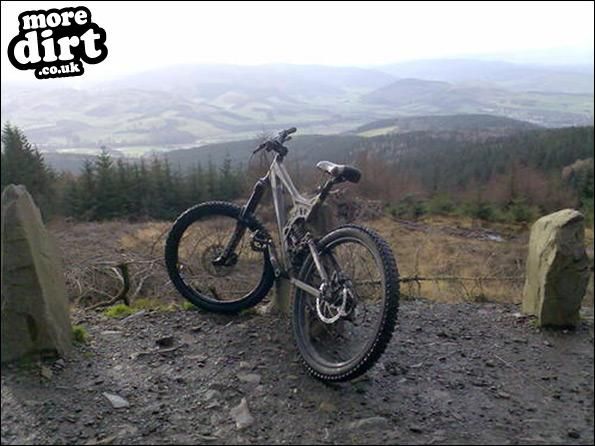 The Red Trail - Glentress