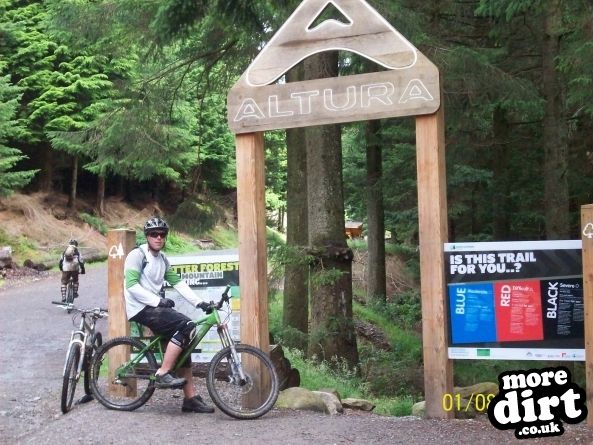 Altura Trail - Whinlatter Forest
