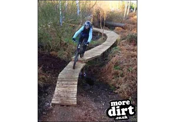 Follow the Dog Trail - Cannock Chase