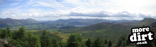 Altura Trail - Whinlatter Forest