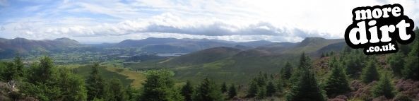 Altura Trail - Whinlatter Forest