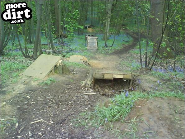 some more of my local stuff!
