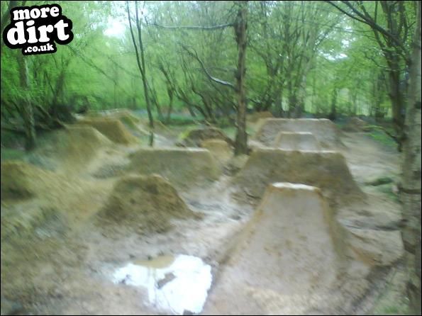 just some pics of my local, we have jumps,pump tra