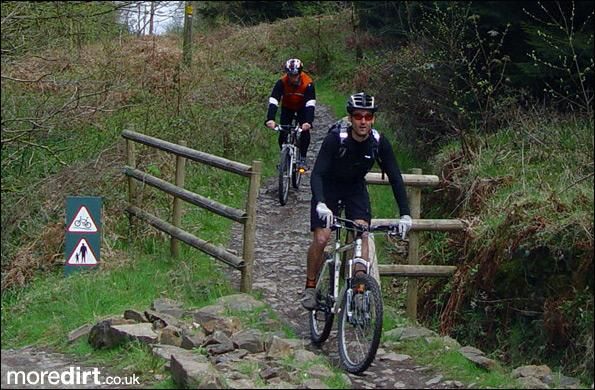 Penhydd Trail -  Afan Forest