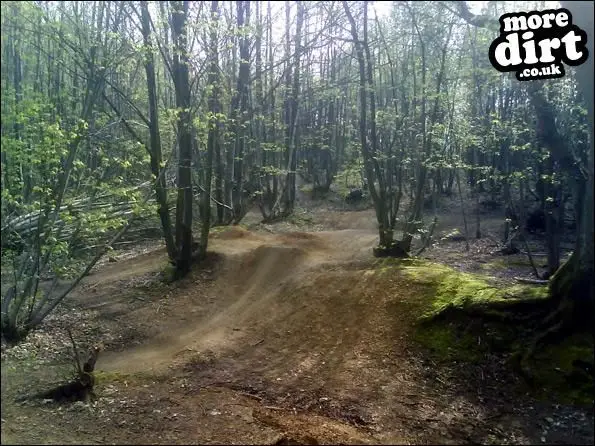 Just the local track in the woods. Great flowing c
