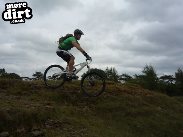 Leckhampton Hill Trails