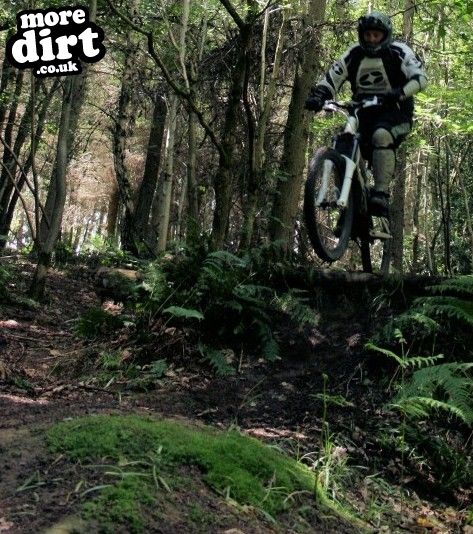 Ribbesford Bike Park