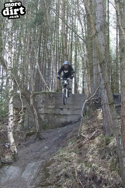forest of dean mtb