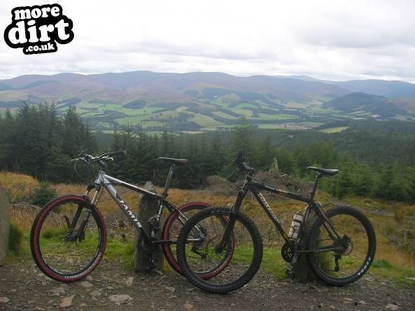 The Red Trail - Glentress