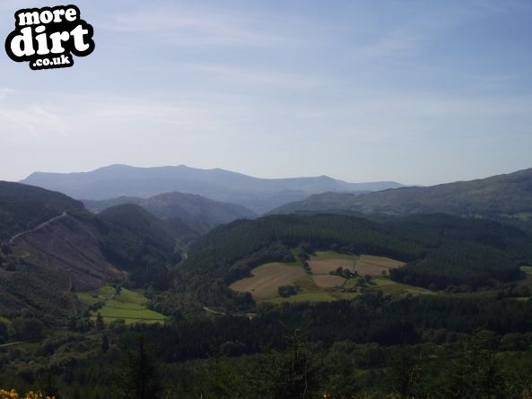 Dragons Back Trail - Coed-y-Brenin