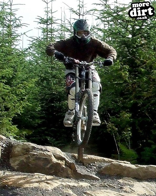 Hamsterley Forest Mountain Bike Trails