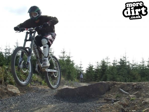 Hamsterley Forest Mountain Bike Trails