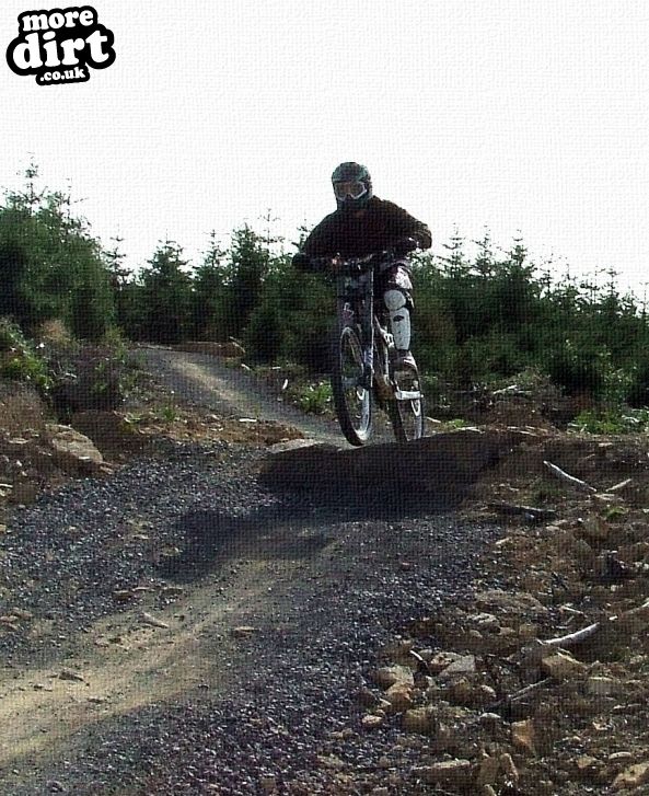 Hamsterley Forest Mountain Bike Trails