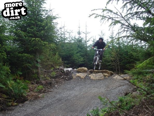 Hamsterley Forest Mountain Bike Trails