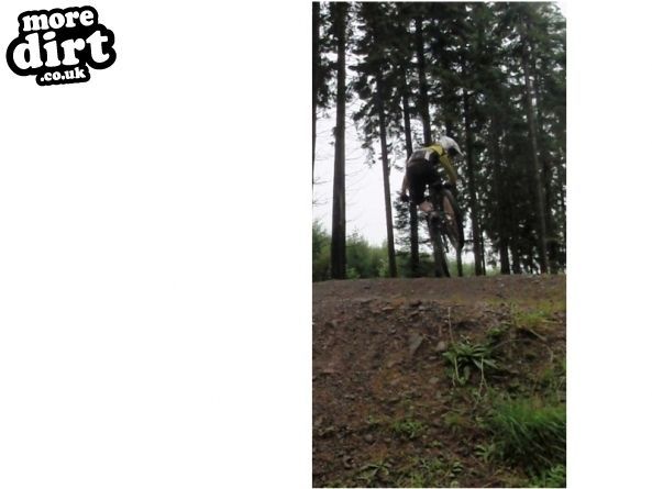 Mabie Forest - Skills Area