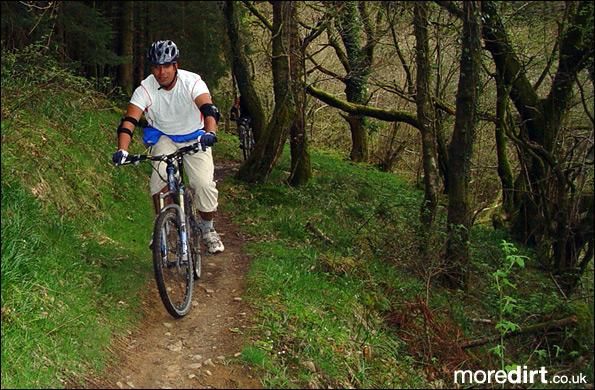 Penhydd Trail -  Afan Forest
