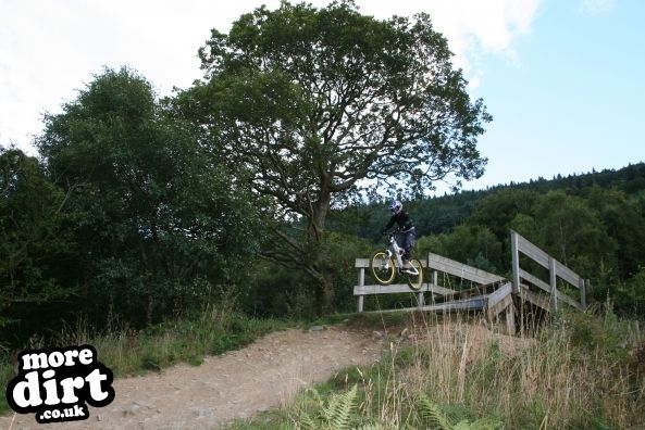 Cwmcarn Mountain Bike Trails