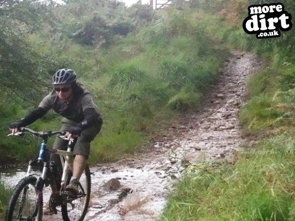 Limestone Link - Mendips