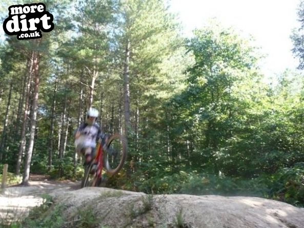 Bedgebury Freeride Area