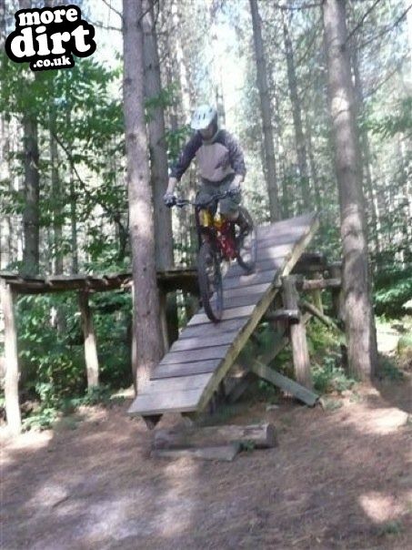 Bedgebury Freeride Area