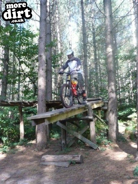 Bedgebury Freeride Area