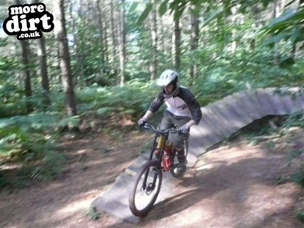 Bedgebury Freeride Area