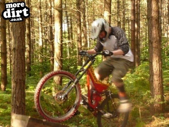 Bedgebury Freeride Area