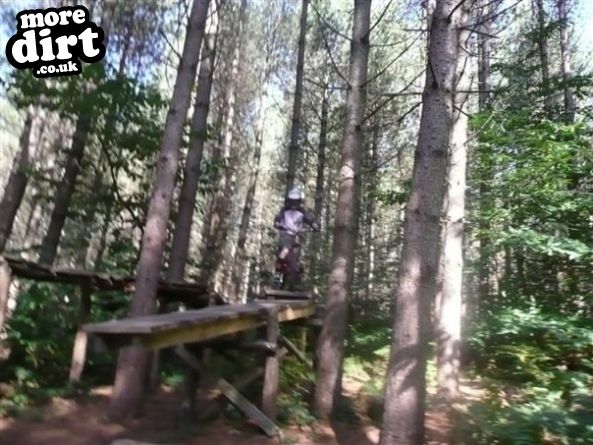 Bedgebury Freeride Area