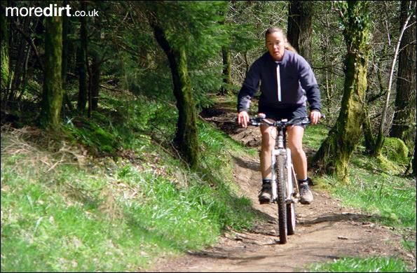 Penhydd Trail -  Afan Forest