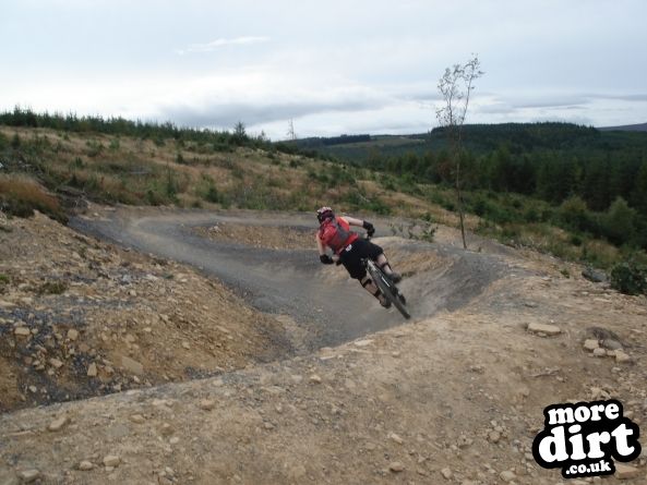 Hamsterley Forest Mountain Bike Trails