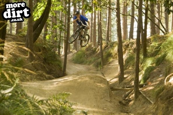 Swinley Forest Mountain Bike Centre