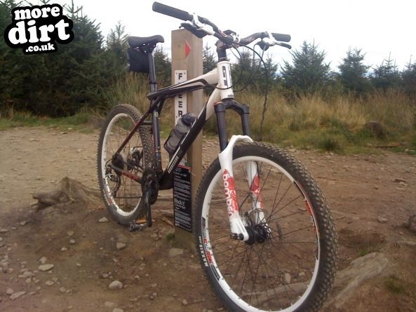 Twrch Trail - Cwmcarn