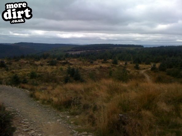 Twrch Trail - Cwmcarn