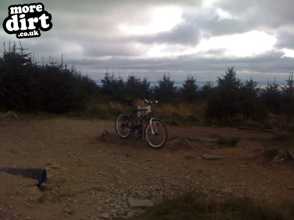 Twrch Trail - Cwmcarn
