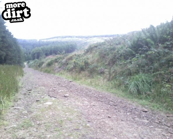 Penhydd Trail -  Afan Forest