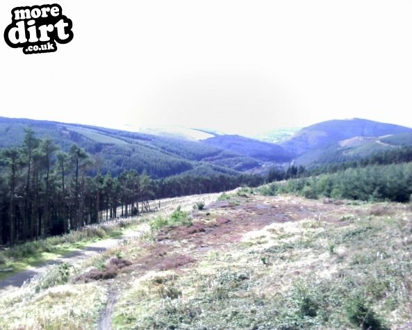 The Wall Trail - Afan Forest