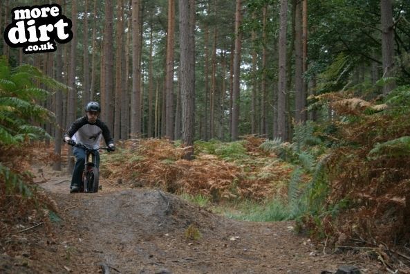 Swinley Forest Mountain Bike Centre